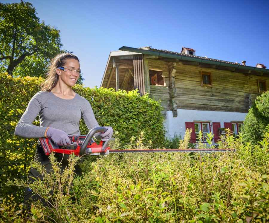 Ratgeber Mein schöner neuer Garten: Die sechs wichtigsten Schritte bei der Neuanlage - News, Bild 1